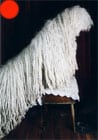 Komondor in the UK